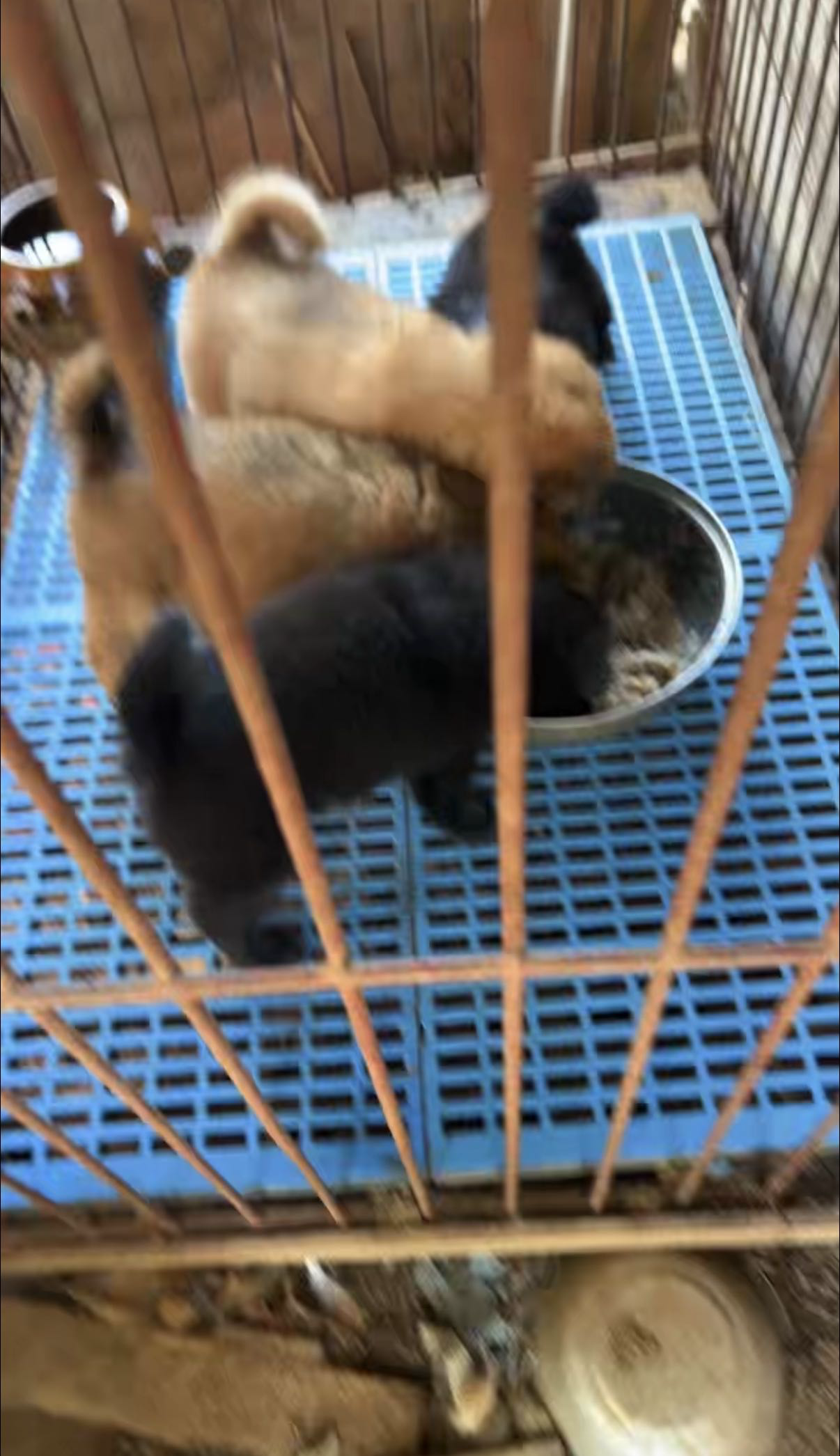 缩略图 7