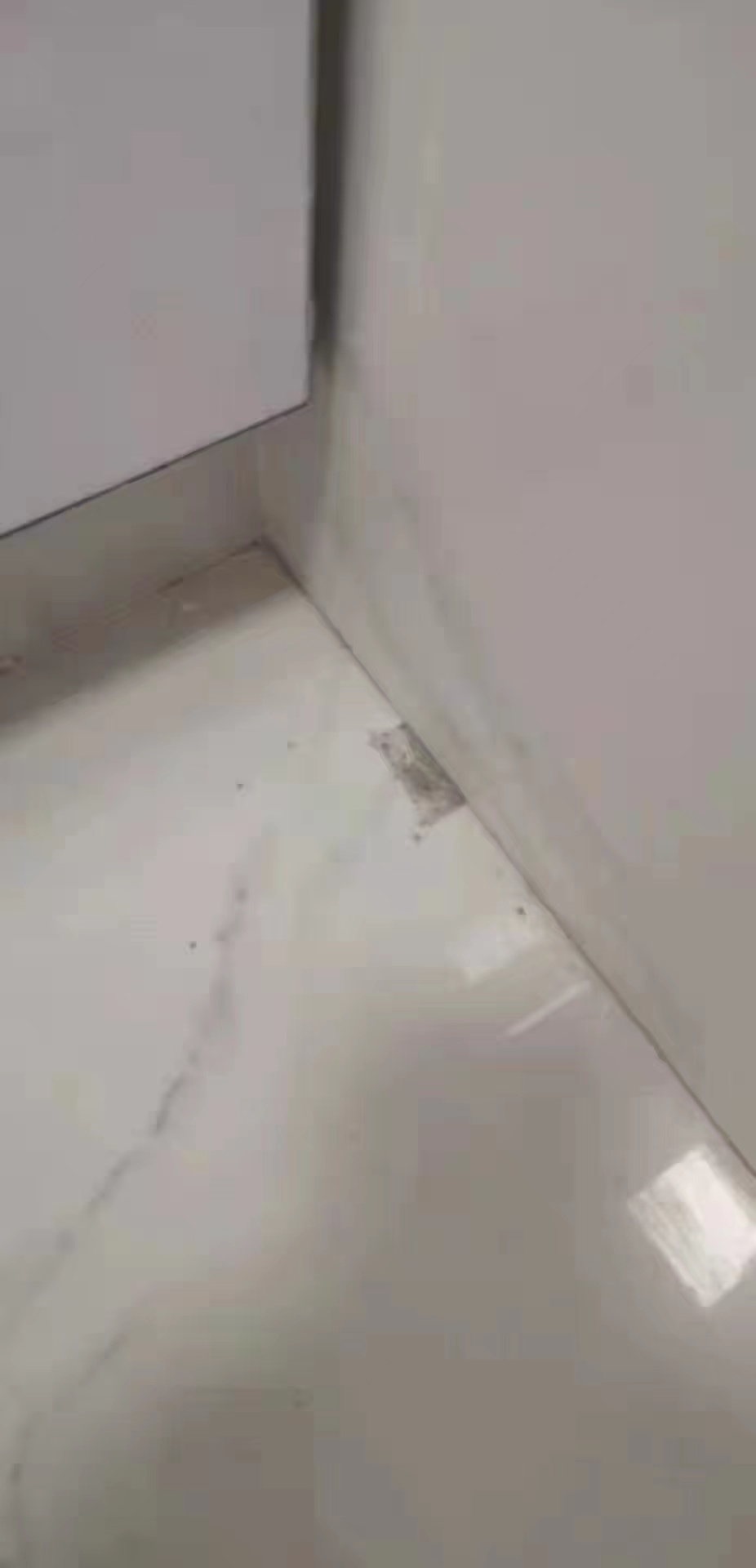缩略图 7