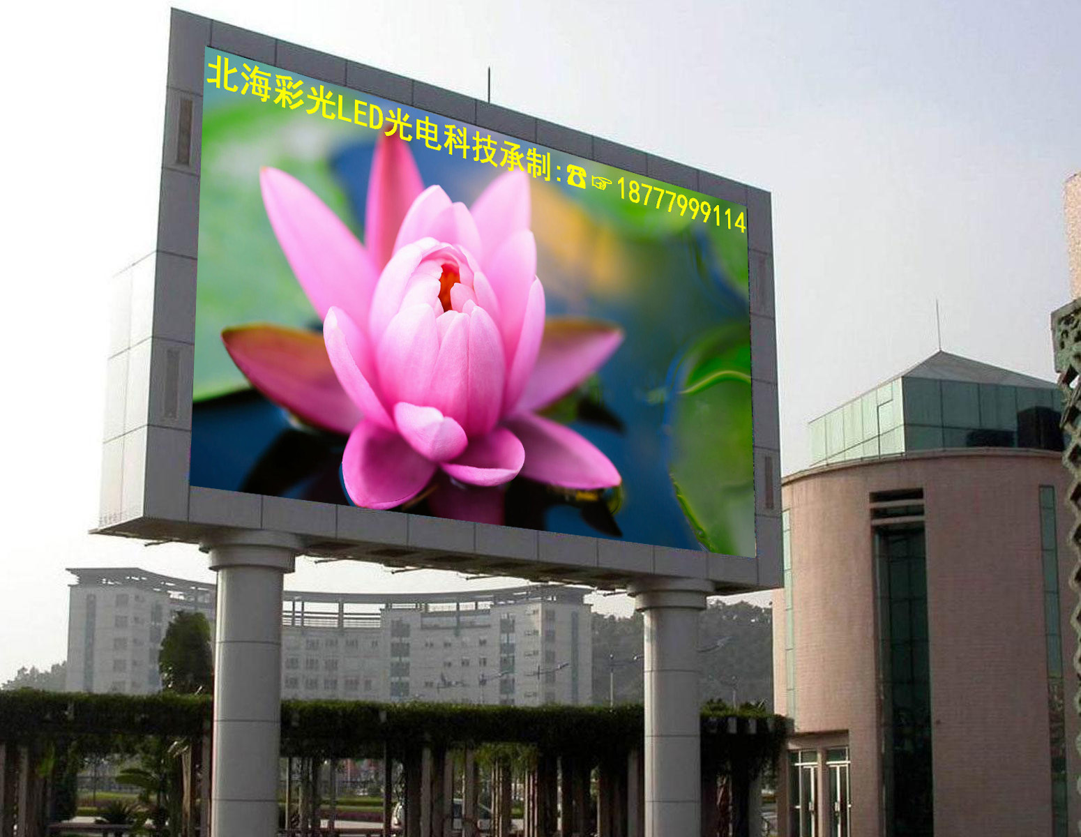 缩略图 9