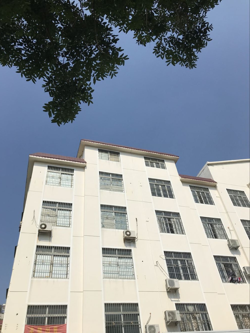缩略图 2