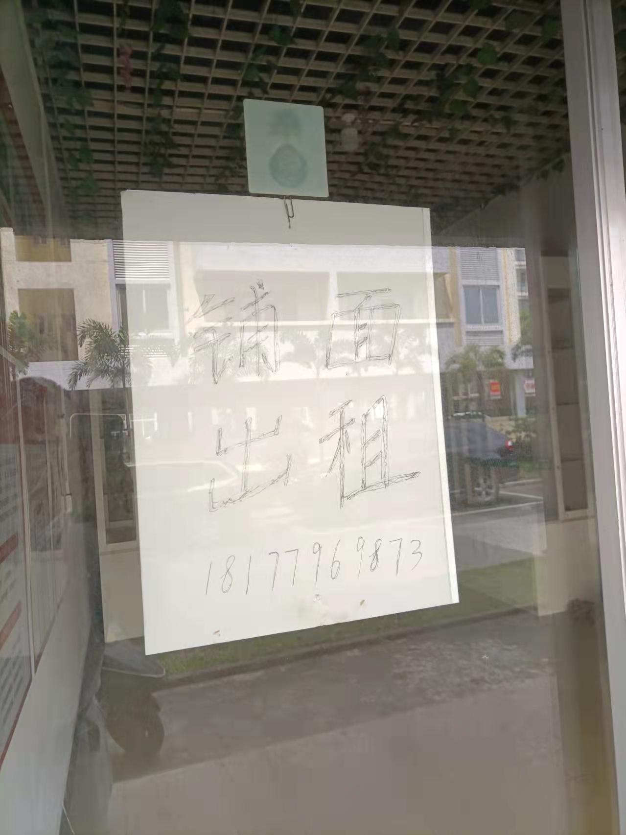 缩略图 5
