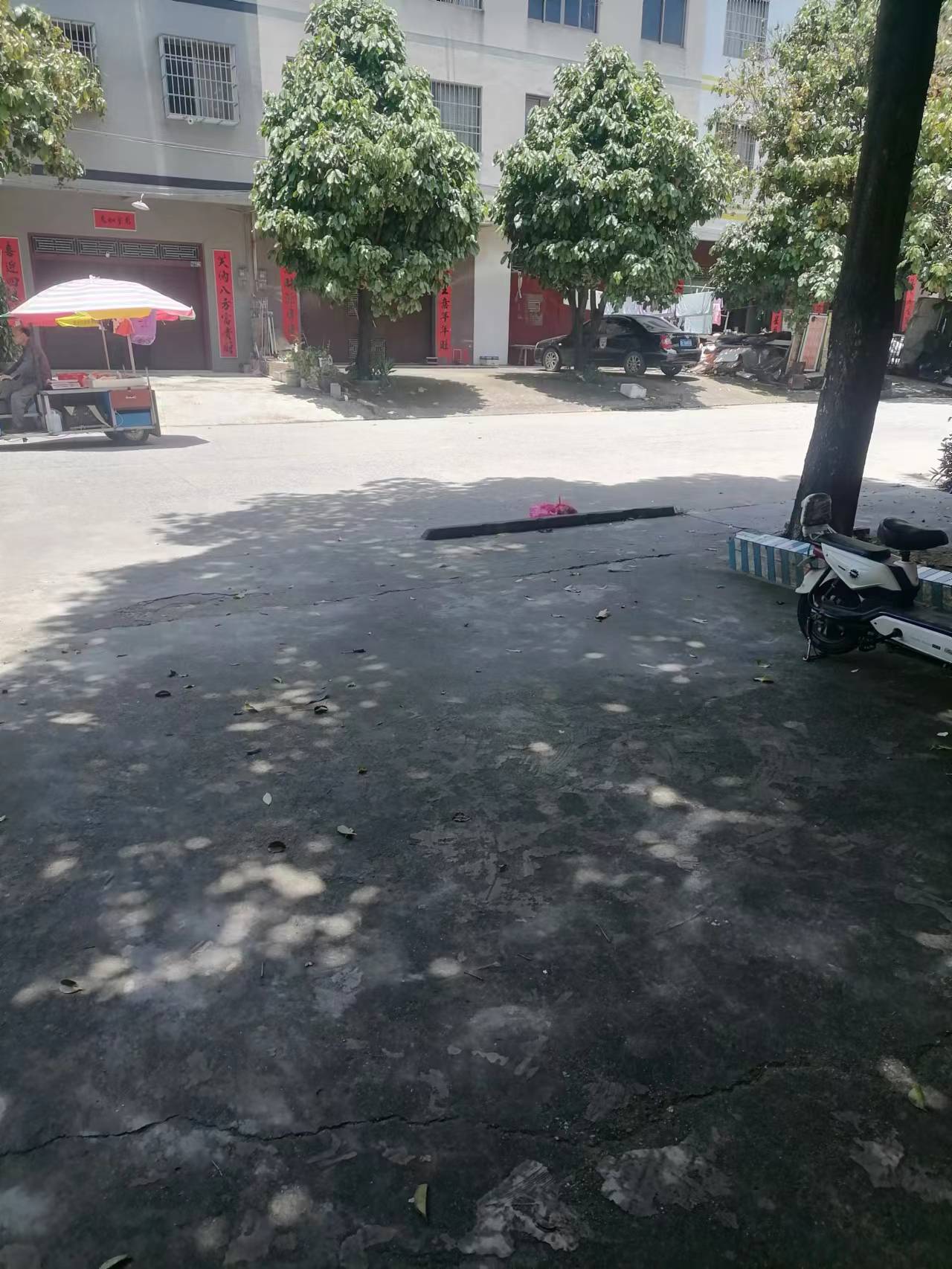 缩略图 3