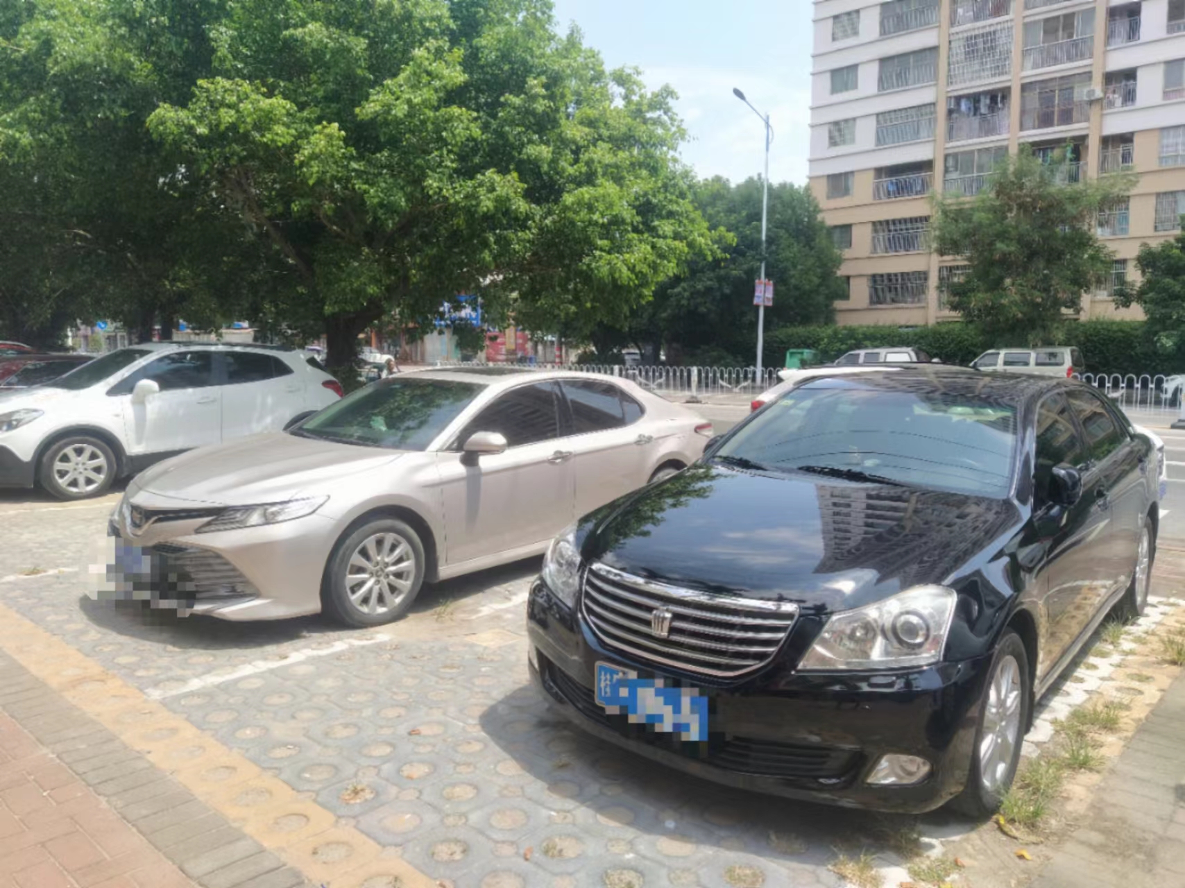 缩略图 6