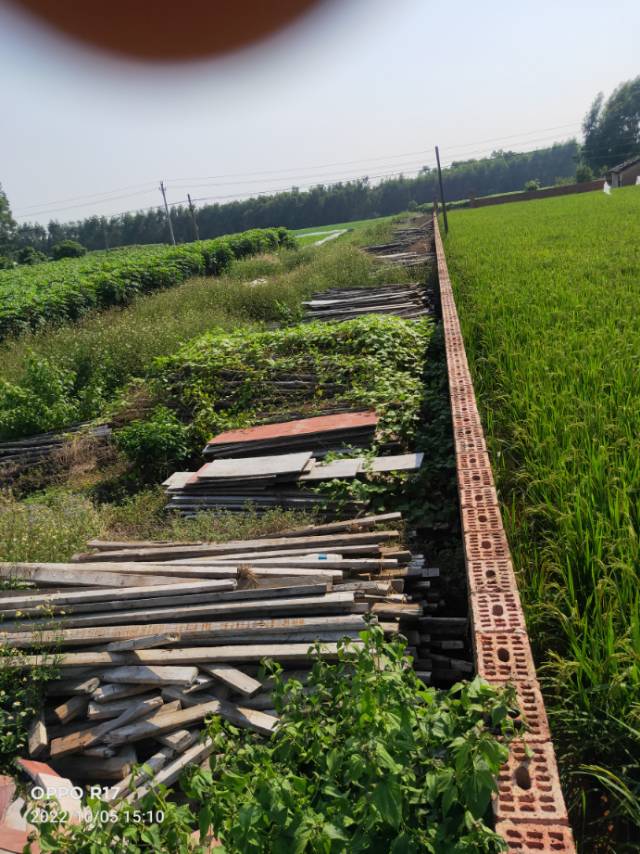 缩略图 3