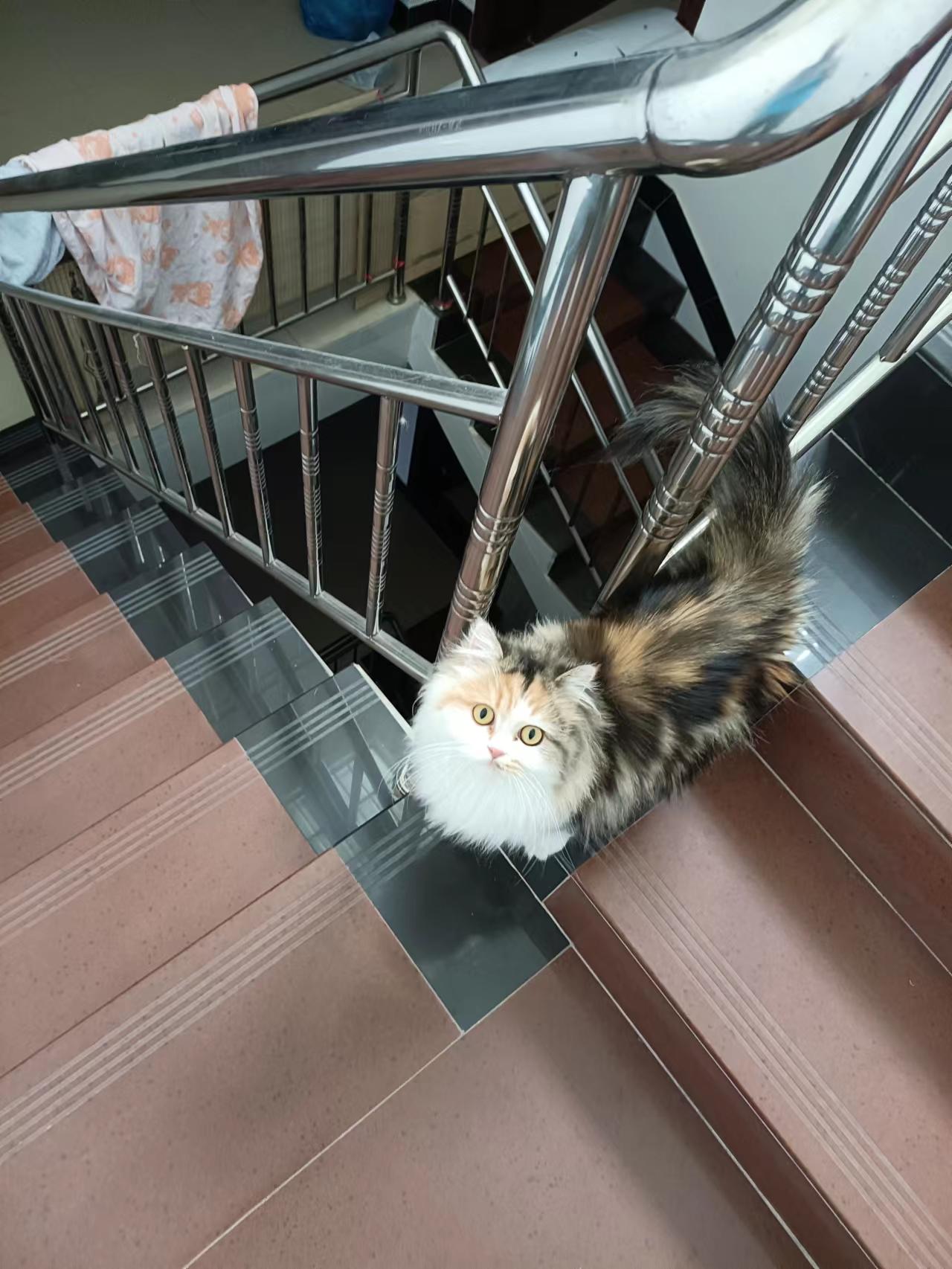 缩略图 2