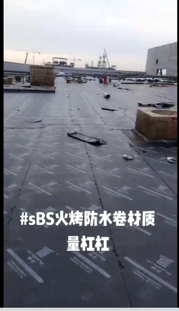 缩略图 7