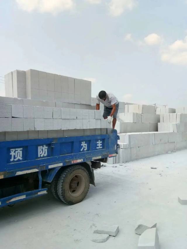 缩略图 5