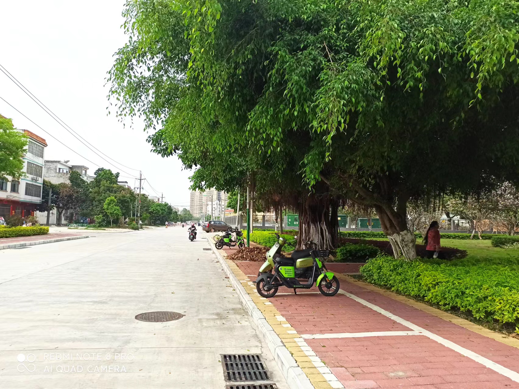 缩略图 4